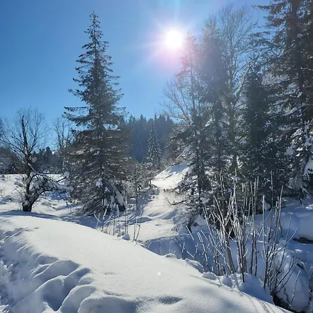 U Waligory Guest house