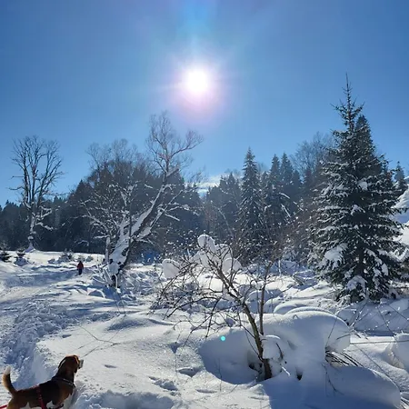 Guest house U Waligory Jaworki