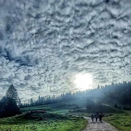 U Waligory * Jaworki