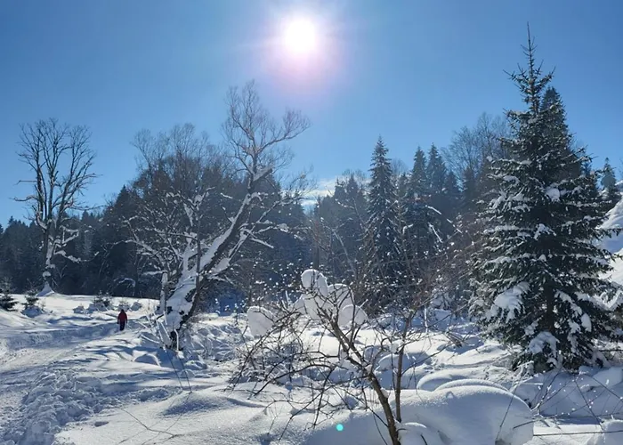 Affittacamere U Waligory Jaworki