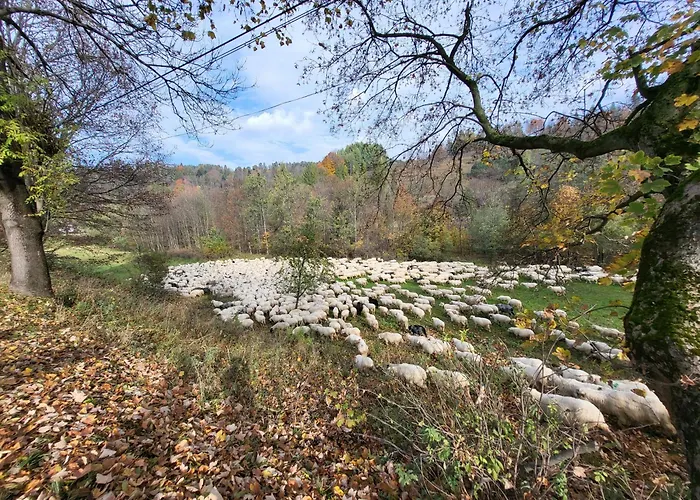 U Waligory Affittacamere Jaworki