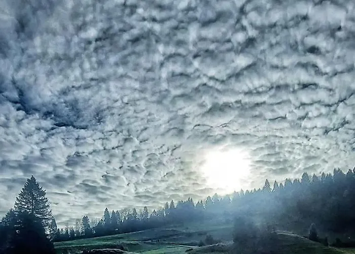 U Waligory 3* Jaworki